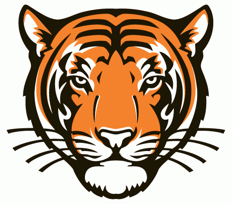 Princeton Tigers 2003-Pres Alternate Logo DIY iron on transfer (heat transfer)